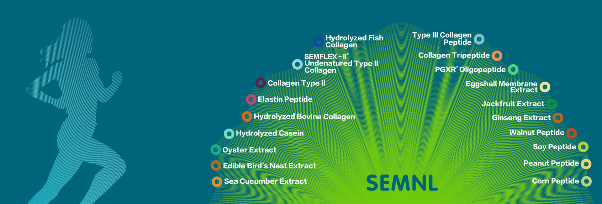 Global professional <br/> service provider<br/> of bioactive peptide