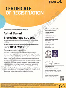 2023-ISO9001